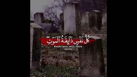 كل نفس ذائقة الموت 🌷 عبد الرحمن مسعد💖 حالات واتس اب دينية قصيرة مؤثرة قرآن كريم تلاوة خاشعة
