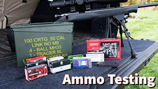 Ammo Accuracy Testing with the Norinco JW15 22lr