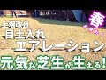 【2025続!春芝更新】芝生を元気に！（根切り・コアリング・ブレンドカルス）