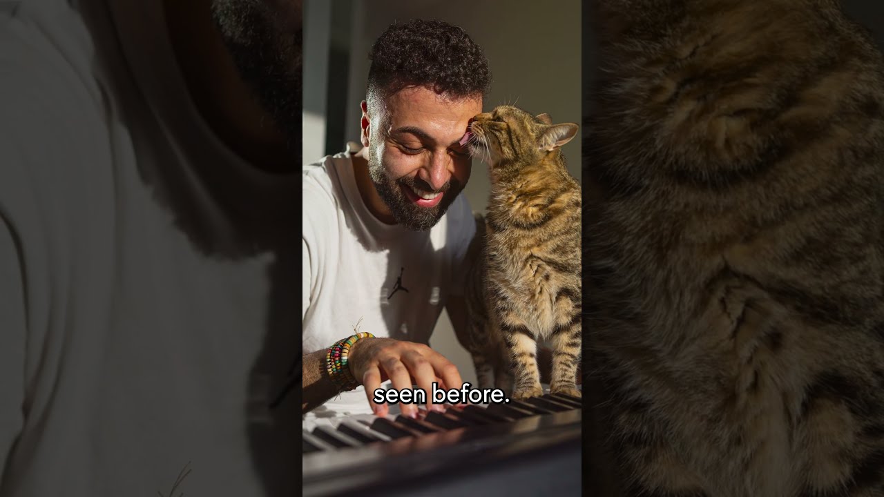 Cats Of The World