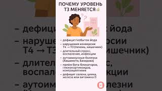Т3 — активный гормон энергии и метаболизма: как он влияет на тело и мозг