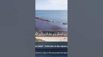 سورة طه فكذب  وأبى