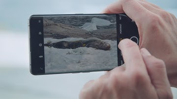 OPPO x National Geographic | Find X2 Pro Ultra Vision Camera System