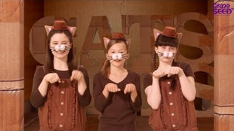 GrapeSEED Magic - Brown