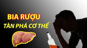 Bia Rượu Tàn Phá Cơ Thể Như Thế Nào?