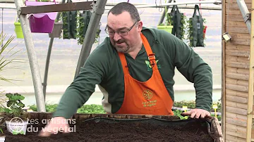 Comment planter dans un potager en carré ?