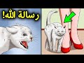 إذا اقتربت منك قطة.. فهذا يعني أن هناك 3 رسائل من الله لك | سبحان الله !!