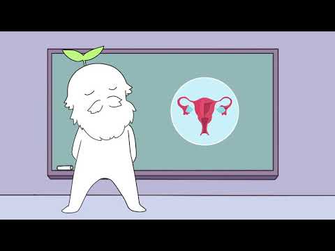 THE HUMAN REPRODUCTIVE CYCLE, SYSTEM, AXES, AND LIFETIME | GROUP 12 | Psych4Digest