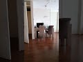 Noa the lovebird flying in slow-mo