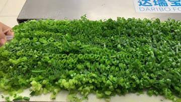 Green Onion Cutting Machine