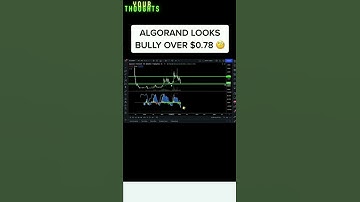ALGORAND LOOK BULLY #SHORTS #ALGORAND #algorand price prediction #TRADING #FOREX