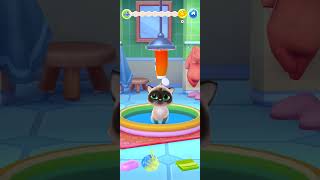 Bath Time Bliss The Surprising Joys Of A Cats Bath