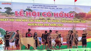 Lễ Hội Cỏ Hồng Đak Đoa 2024 | Đội Nhạc Cụ Truyền Thống Xã H’Bầu