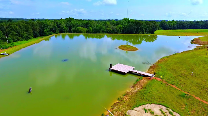 Building a 5 Acre Pond! (First Time Fishing)