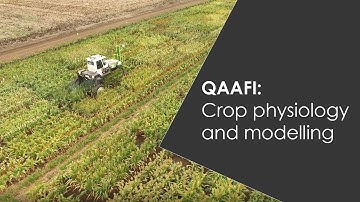 Crop physiology and modelling at QAAFI