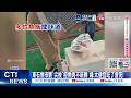 【每日必看】東石魚市買"尖梭"控魚肉不新鮮 婦:太便宜吃了會死! 20260521