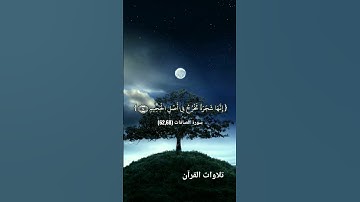 { أذلك خير نزلا أم شجرة الزقوم } تلاوة الشيخ د. ياسر الدوسري