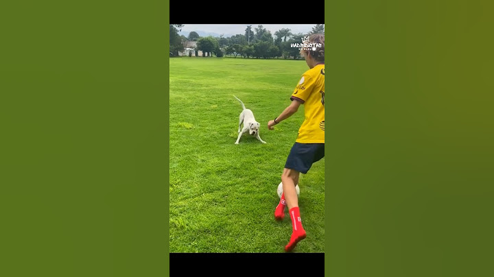 Si ça n'avait pas été filmé, personne n'y croirait ! 😱⚽💀 #football #funny
