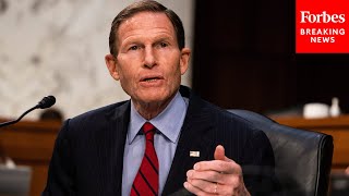 'I'm More Interested In The Practical Results Of Enforcement': Blumenthal Urges Anti-Trust Efforts