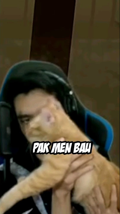 While recording, a cat disturbs you #funnymoment #stress #potato #cat