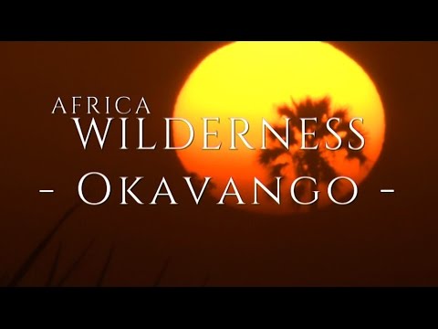 The Okavango Delta, Wilderness Safaris Style