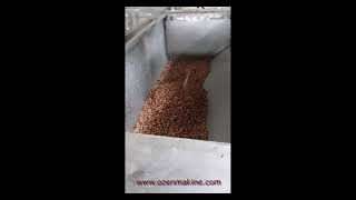 Peanut Roasting Machine - печь для запекания арахиса - forno automatico per arrostire le noci
