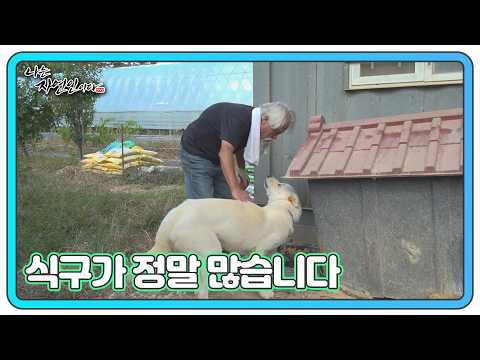 From Dogs to Rabbits: The Animal Family of a Nature-Dwelling Man, MBN Broadcast 10/19/26