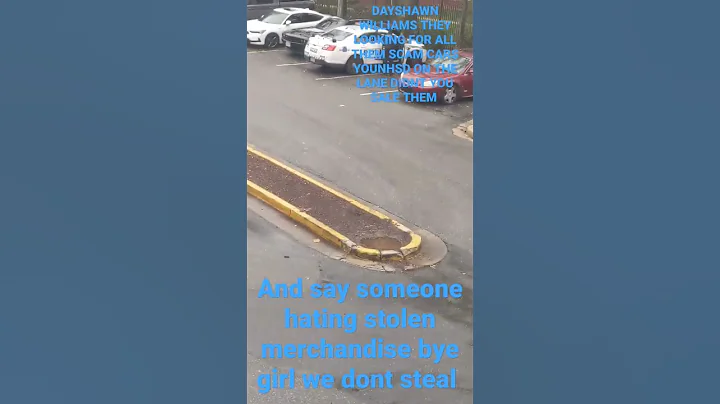 DAYSHAWN WILLIAMS THEY WANT THEM STOLEN CARS YOU K...