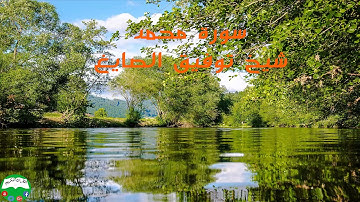 سورة محمد شيخ توفيق الصايغ