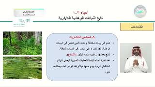 تابع درس 2-5 النباتات الوعائية اللابذرية - الأحياء (2-1) - المسار العام - السنة الثانية
