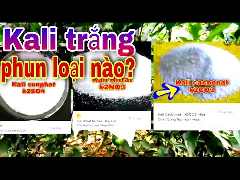 Video: Cacbonat đất là gì?