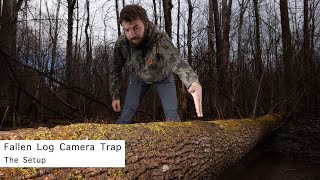 Fallen Log Camera Trap - The Setup