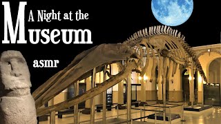 A Night at the Museum: ASMR for sleep (Paleontology, Archaeology, Zoology, Anthropology, Chile...) screenshot 2