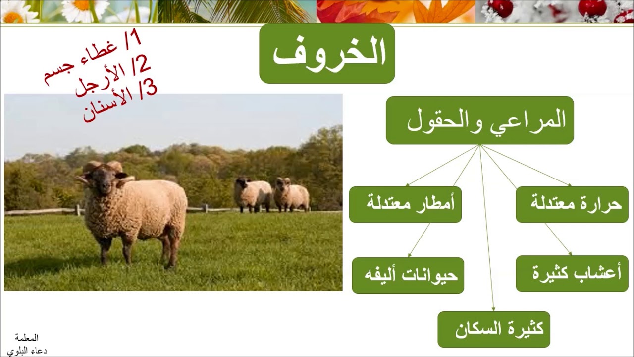 التكيف عند الخروف -علوم-ا لصف الثالث