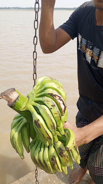 Raw Banana Fishing Trick You Won’t Believe