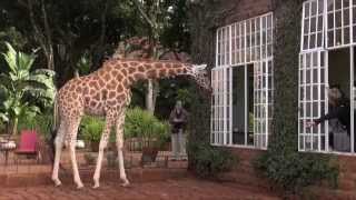 Giraffe Manor - Kenya