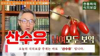 남자에게 좋다는 산수유, 알고보면 남녀노소 모두에게 보약(補藥)이다 - 한동하의 식의보감