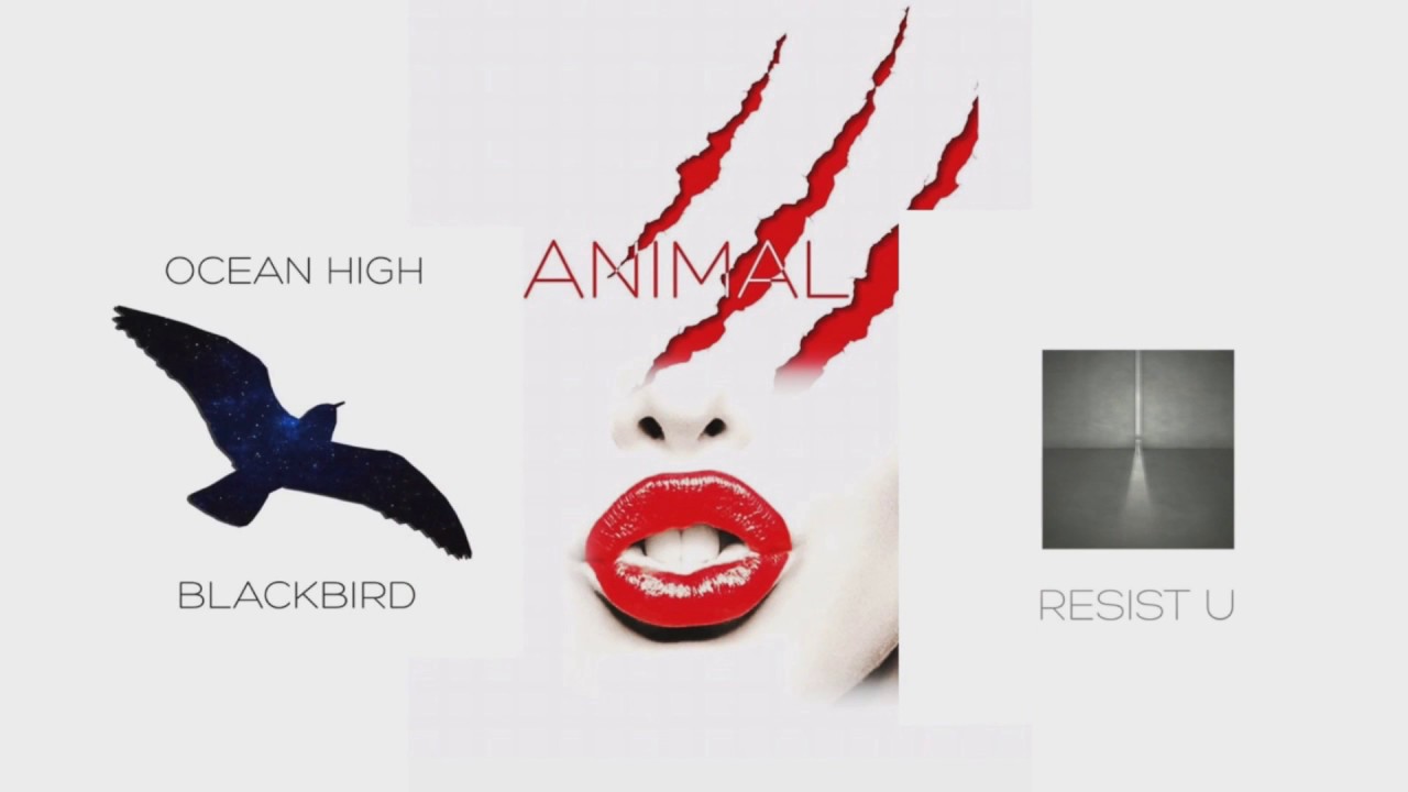 Ocean High - presentation