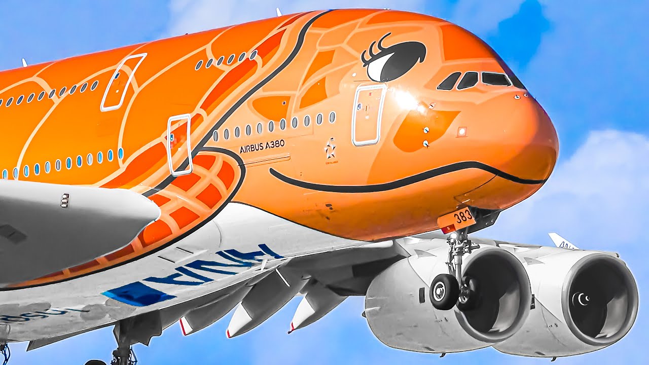 ✈️ COLOURFUL & BEST SPECIAL LIVERIED PLANES Taking Off & Landing Plane Spotting Compilation 🌎