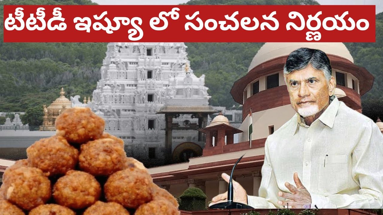 చంద్రబాబు సంచలన నిర్ణయం || Chandrababu About  TTD  Laddu Isseu | TTD Updates | Ravi Universe