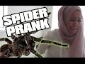 SPIDER SCARE REVENGE PRANK!