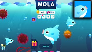 Get Bigger! Mola - Android, iOS Game Play screenshot 4