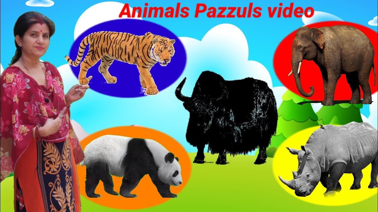 Cute Animals Video Sheep, Fox, wolf, Jeckal | Funny Animals Pazzuls Game | Animals Sound | 