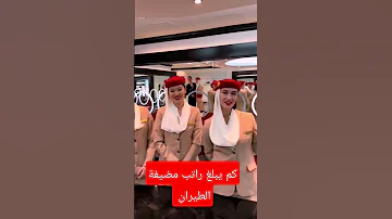 كم يبلغ راتب مضيفة الطيران ضيافة شروط الضيافة الجوية 