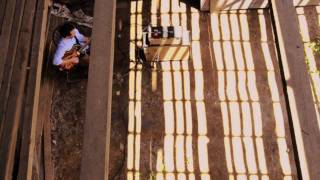 Mercies - Animals In The Barn