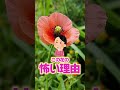 畑に生えてたら要注意！危険な雑草？【農園ライフ】