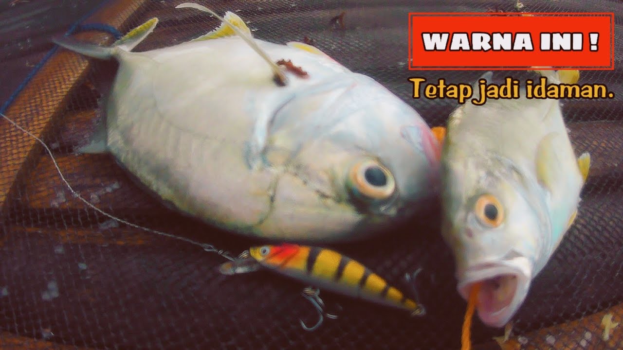 NEKAT MANCING SAAT HUJAN ! UNTUNG BAWA UMPAN INI GAK JADI BONCOS !