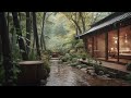 3 Hours of Gentle Rain, Rain Sounds for Sleeping - Beat insomnia, Relax, Study