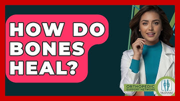 How Do Bones Heal? - Orthopedic Support Network