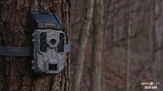 spypoint solar dark trail camera
